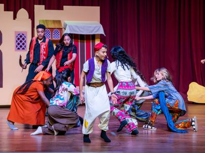 NU107514 Enhanced NR Medium