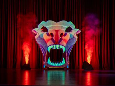 NU109633 Enhanced NR Medium